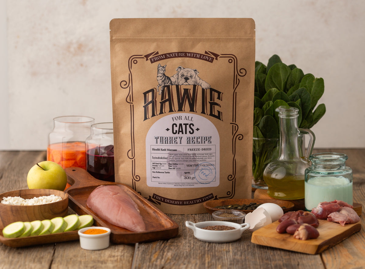 Hindi Menü Kedi Maması