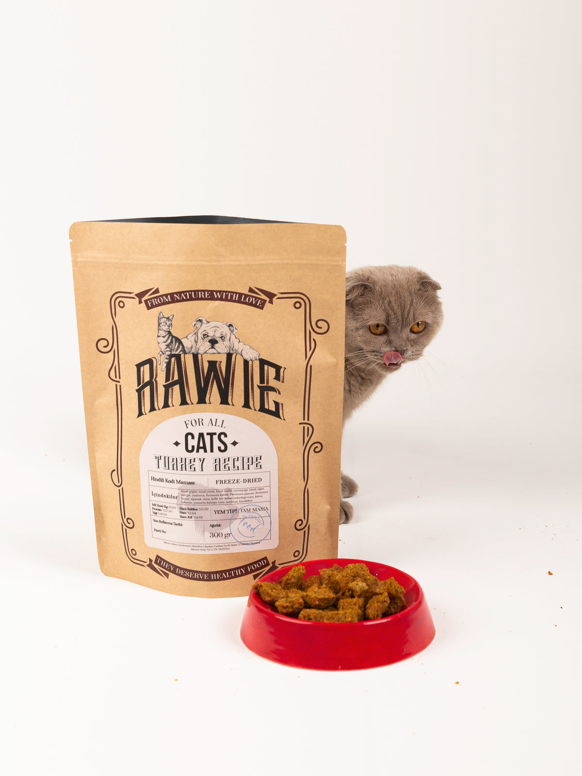 Seramik Kedi Mama Kabı