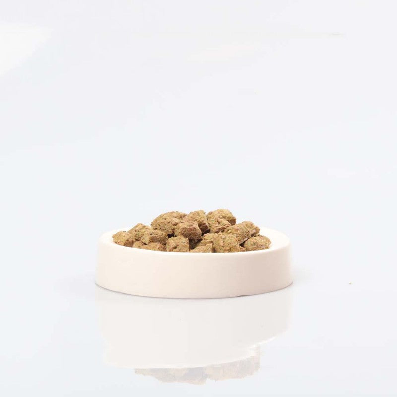 Seramik Kedi Mama Kabı