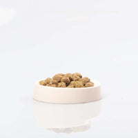 Seramik Kedi Mama Kabı